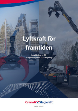 Gru per autocarro per legname Cranab RZ 18.1 NHY 3+3