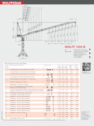 Gru a torre a braccio impennabile Wolffkran 1250 B
