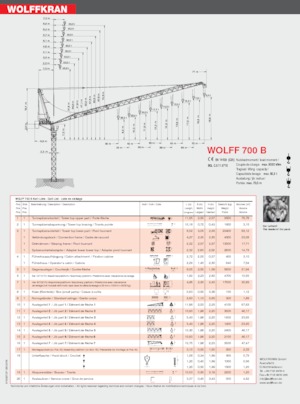 Gru a torre a braccio impennabile Wolffkran 700 B