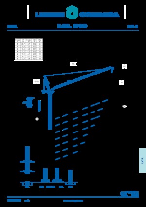 Gru a torre a braccio impennabile Comansa LCL 310