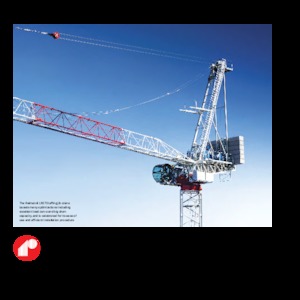 Gru a torre a braccio impennabile Raimondi LR273