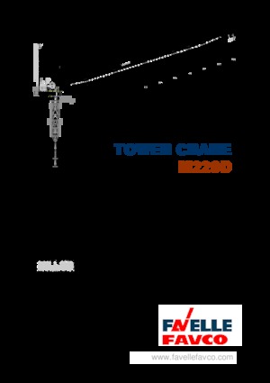 Gru a torre a braccio impennabile Favelle Favco M220D