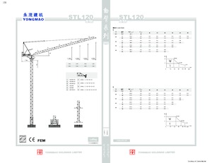 Gru a torre a braccio impennabile Yongmao STL120