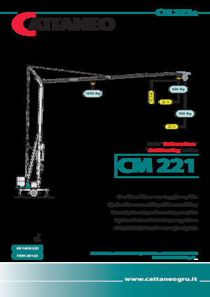 Gru a torre - rotazione bassa Cattaneo CM 221A