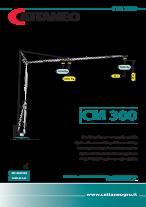Gru a torre - rotazione bassa Cattaneo CM 300