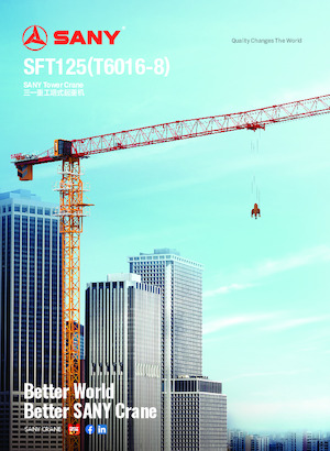 Gru a torre - rotazione alta Sany SFT125