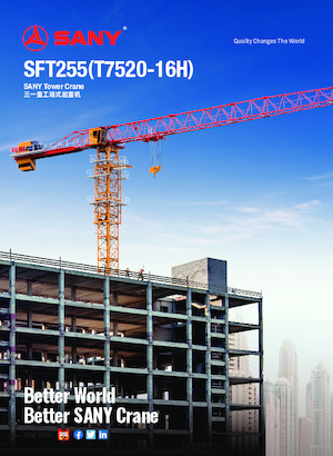 Gru a torre - rotazione alta Sany SFT255