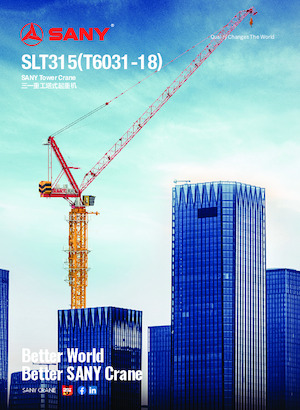 Gru a torre - rotazione alta Sany SLT315