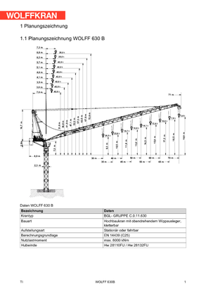 Gru a torre a braccio impennabile Wolffkran 630 B