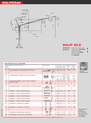 Gru a torre a braccio impennabile Wolffkran WK 100 B