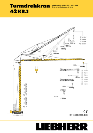 Gru a torre - rotazione bassa Liebherr 42 KR.1 (FU)