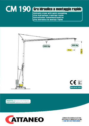 Gru a torre - rotazione bassa Cattaneo CM 190 