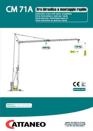Gru a torre - rotazione bassa Cattaneo CM 71A