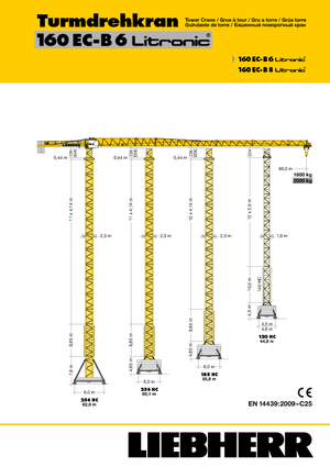 Gru a torre - rotazione alta Liebherr 160 EC-B 6 Litronic
