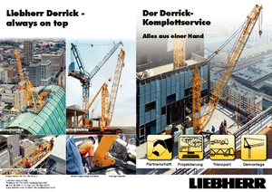 Gru a torre - rotazione alta Liebherr 200 DR 5/10 Litronic