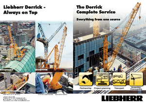 Gru a torre - rotazione alta Liebherr 200 DR 5/10 Litronic