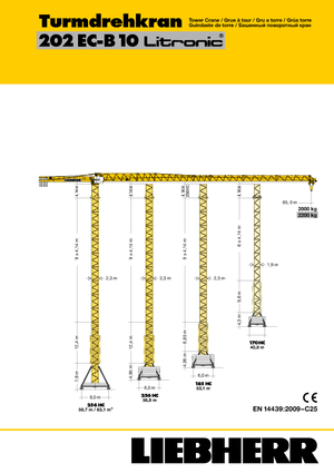 Gru a torre - rotazione alta Liebherr 202 EC-B 10 Litronic
