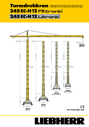 Gru a torre - rotazione alta Liebherr 245 EC-H 12 Litronic