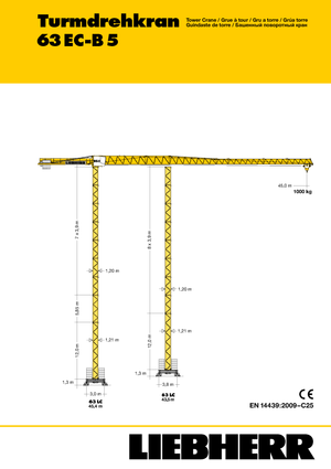 Gru a torre - rotazione alta Liebherr 63 EC-B 5