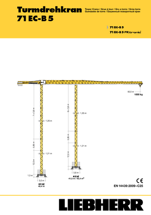 Gru a torre - rotazione alta Liebherr 71 EC-B
