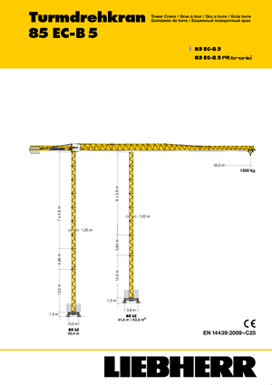 Gru a torre - rotazione alta Liebherr 85 EC-B  FR.tronic 