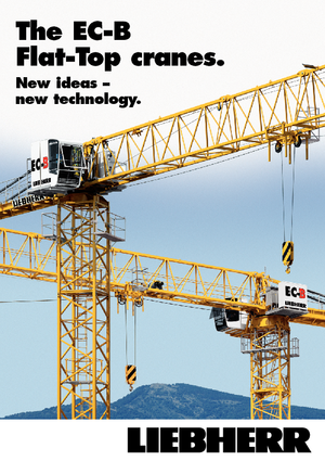 Gru a torre - rotazione alta Liebherr 250 EC-B 12 Litronic