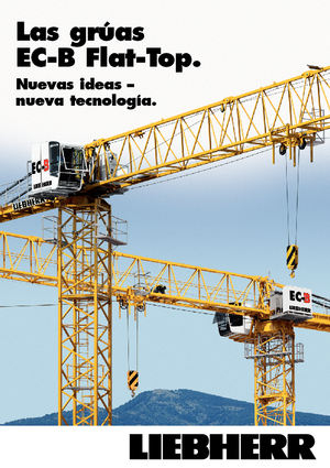Gru a torre - rotazione alta Liebherr 250 EC-B 12 Litronic