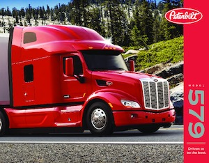 Trattori stradali Peterbilt 579 Day cab PACCAR MX-11 385
