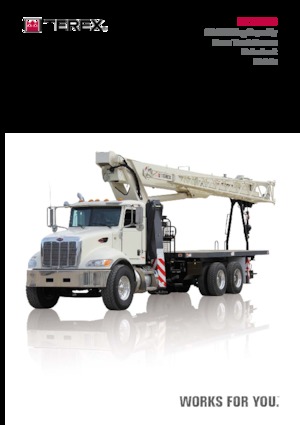 Autogru TEREX CRANES BT 28106