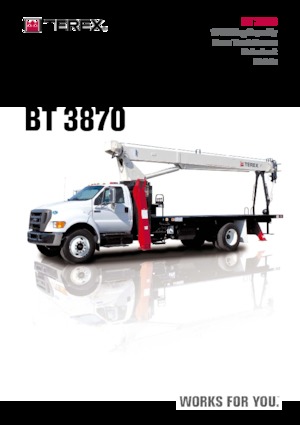 Autogru TEREX CRANES BT 3870