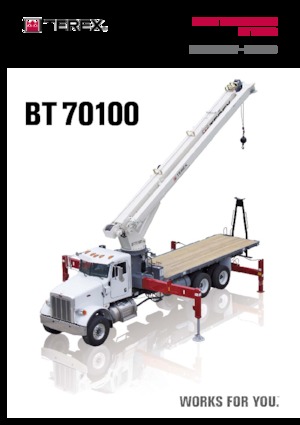 Autogru TEREX CRANES BT 70100