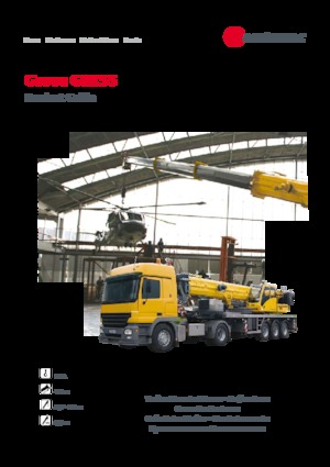 Gru telesc. montata su camion Grove GSK 55