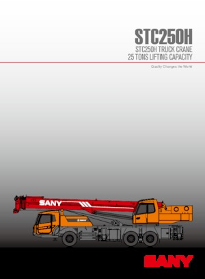 Gru telesc. montata su camion Sany STC250H