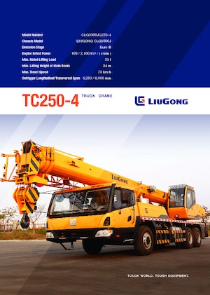 Gru telesc. montata su camion Liugong TC250-4