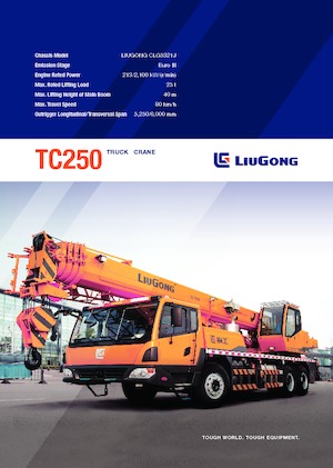 Gru telesc. montata su camion Liugong TC250