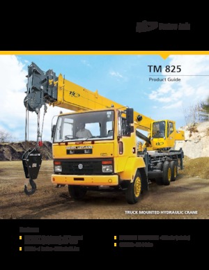 Gru telesc. montata su camion Til TM 825