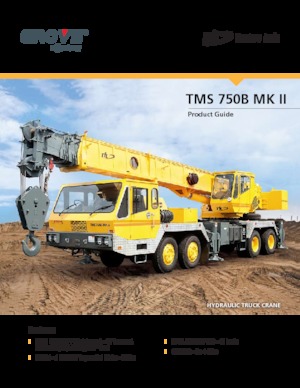 Gru telesc. montata su camion Til TMS 750B MK II