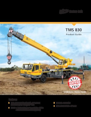 Gru telesc. montata su camion Til TMS 830