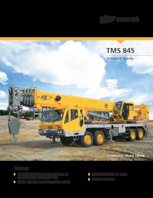 Gru telesc. montata su camion Til TMS 845