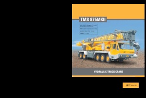 Gru telesc. montata su camion Til TMS 875 MK II