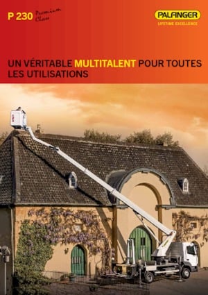 Piattaforme aeree telescopiche autocarrate Palfinger P 230