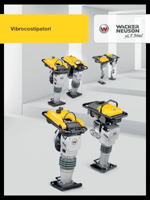 Costipatori Diesel e Benzina Wacker Neuson DS 70 11