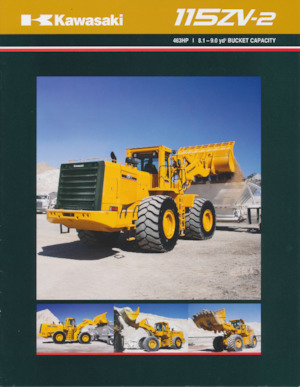 Pale gommate Kawasaki 115Z V-2