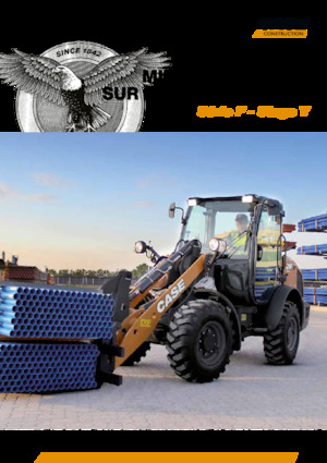 Pale gommate Case 121 F 