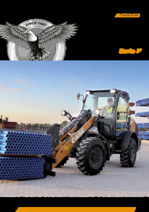 Pale gommate Case 221 F  