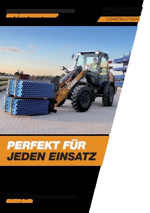 Pale gommate Case 21F