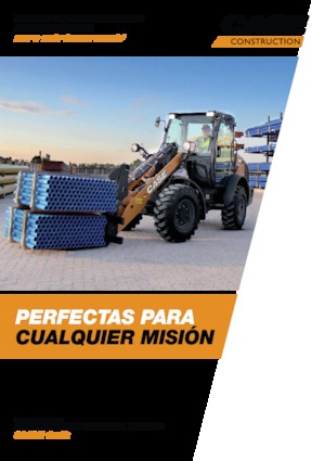 Pale gommate Case 21F