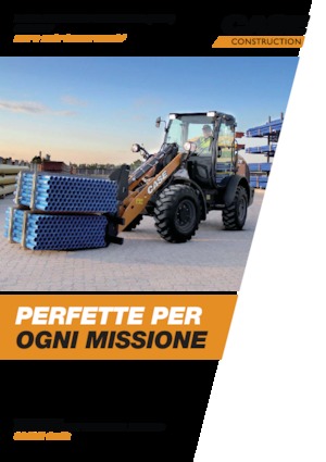 Pale gommate Case 21F