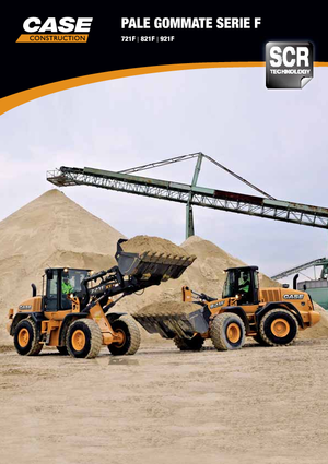 Pale gommate Case 921 F ZB