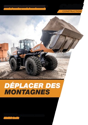 Pale gommate Case 521G